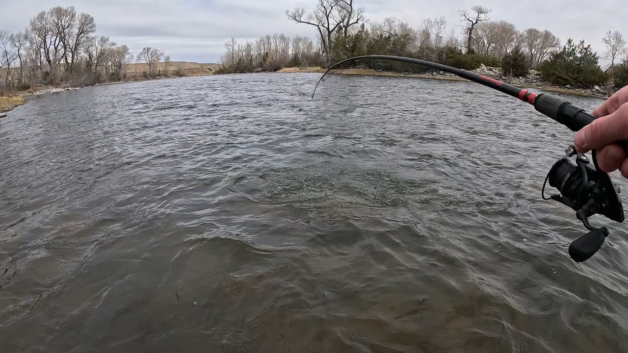 Fishing Raning Spring Fishing for Spring Rainbow and Brown Trout - YouTube
