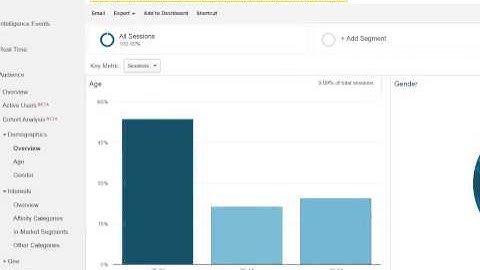 Demographics and Interest Reports in Google Analytics
