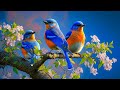 Relaxing Music For Stress Relief, Anxiety and Depressive States • Heal Mind, Body and Soul