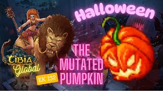 #live  #tibia The Mutated Pumpkin EK 132 (COLLABRA) HALLOWEN
