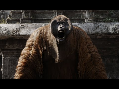 Video: Re Luigi è un gigantopithecus?