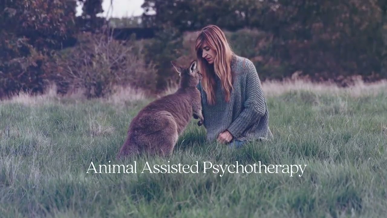 Welcome to the Institute