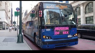 (Bxm3)(Bxm4)(Bxm6)(Bxm7)(Bxm8)(Bxm9)(Bxm10)(Bxm11) Bus Action at Madison Ave/E.35th and 5th Ave/E.34