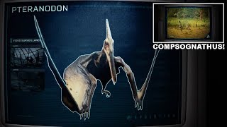PTERANODON SPECIES PROFILE! & COMPSOGNATHUS! | Return To Jurassic Park DLC Species Profiles!