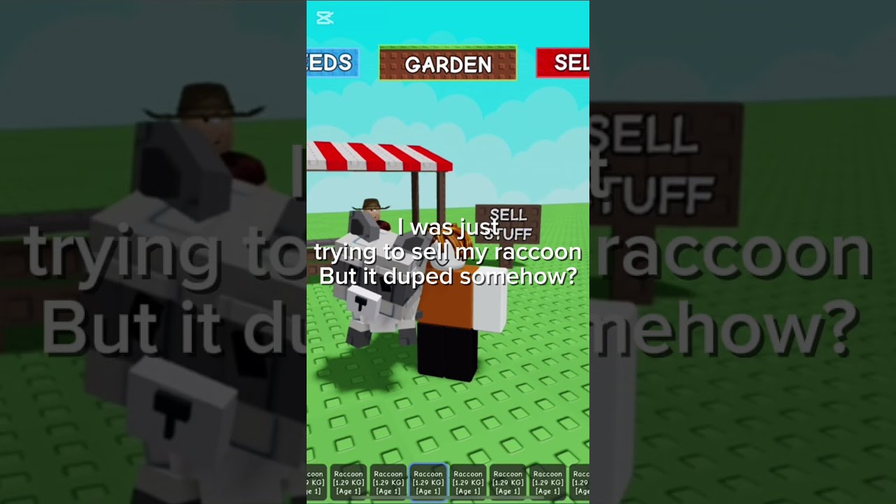 New Raccoon Glitch Dupe Growagarden Roblox