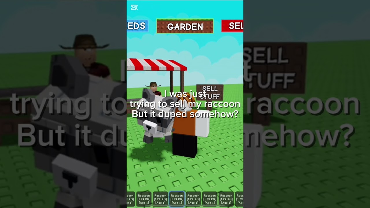 Новый глюк с енотом? 