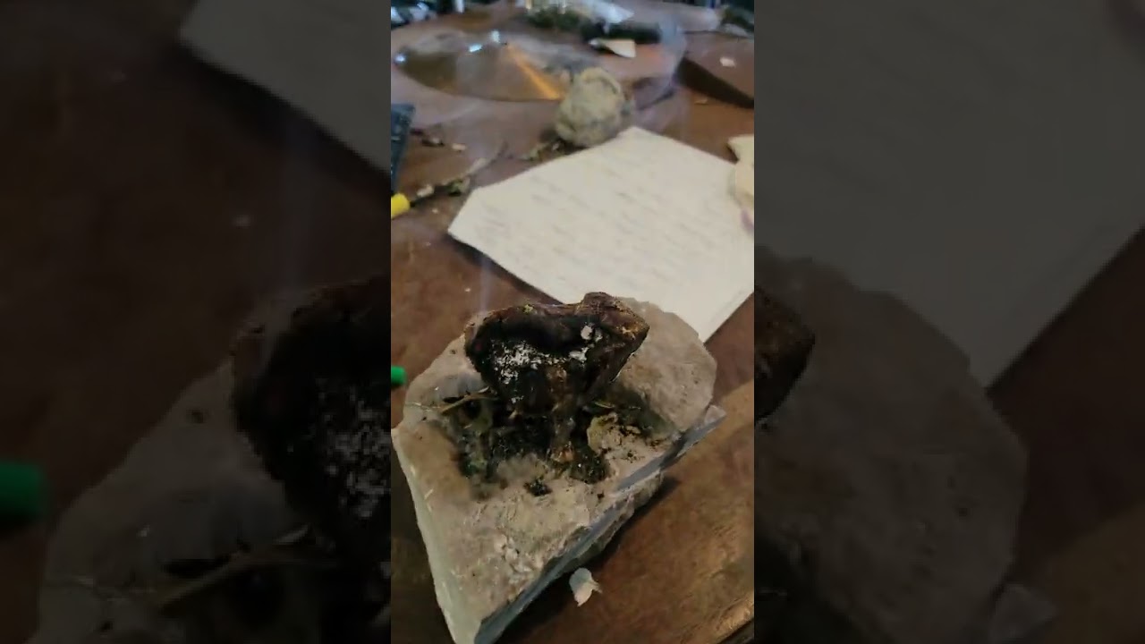 Use Chaga Mushroom As An Insect Repellant and Incense. Great for Energy Amazing