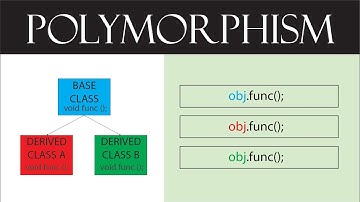 Polymorphism | C++ | Basic Concept