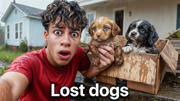 I Found Puppies at our Door..