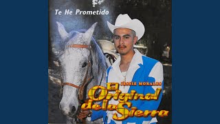 Video thumbnail of "Jessie Morales El Original De La Sierra - Lo Mucho Que Te Quiero"