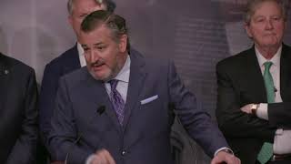 Senator Cruz DESTROYS Chuck Schumer Over Alejandro Mayorkas Impeachment