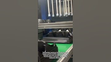 High-Speed Thermoforming and Robotic Stacking System