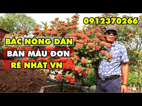 #1 Quá choáng với vườn hoa mẫu đơn số 1 Việt Nam Mới Nhất 2 #1 Quá choáng với vườn hoa mẫu đơn số 1 Việt Nam Mới Nhất