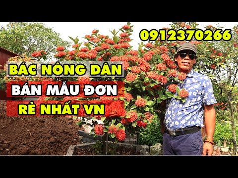 #1 Quá choáng với vườn hoa mẫu đơn số 1 Việt Nam Mới Nhất