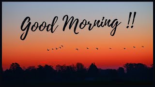 Good Morning whatsapp status  | Good Morning sunrise status |good morning video | Wishes and Quotes screenshot 4