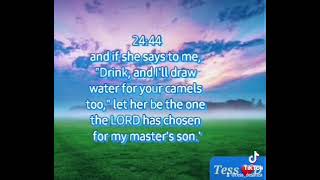 The BIBLE Story_Part37         Genesis 24:29-52  NIV