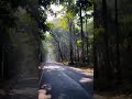 Heavenly 😇 Moments – Pure Nature Bliss