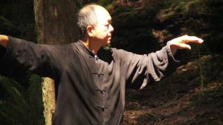 Yang Tai Chi for Beginners - Dr. Yang, Jwing-Ming (YMAA Taijiquan) screenshot 4