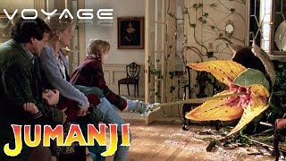 'They Grow Much Faster Than Bamboo, Take Care Or They'll Come After You' | Jumanji | Voyage Captions
