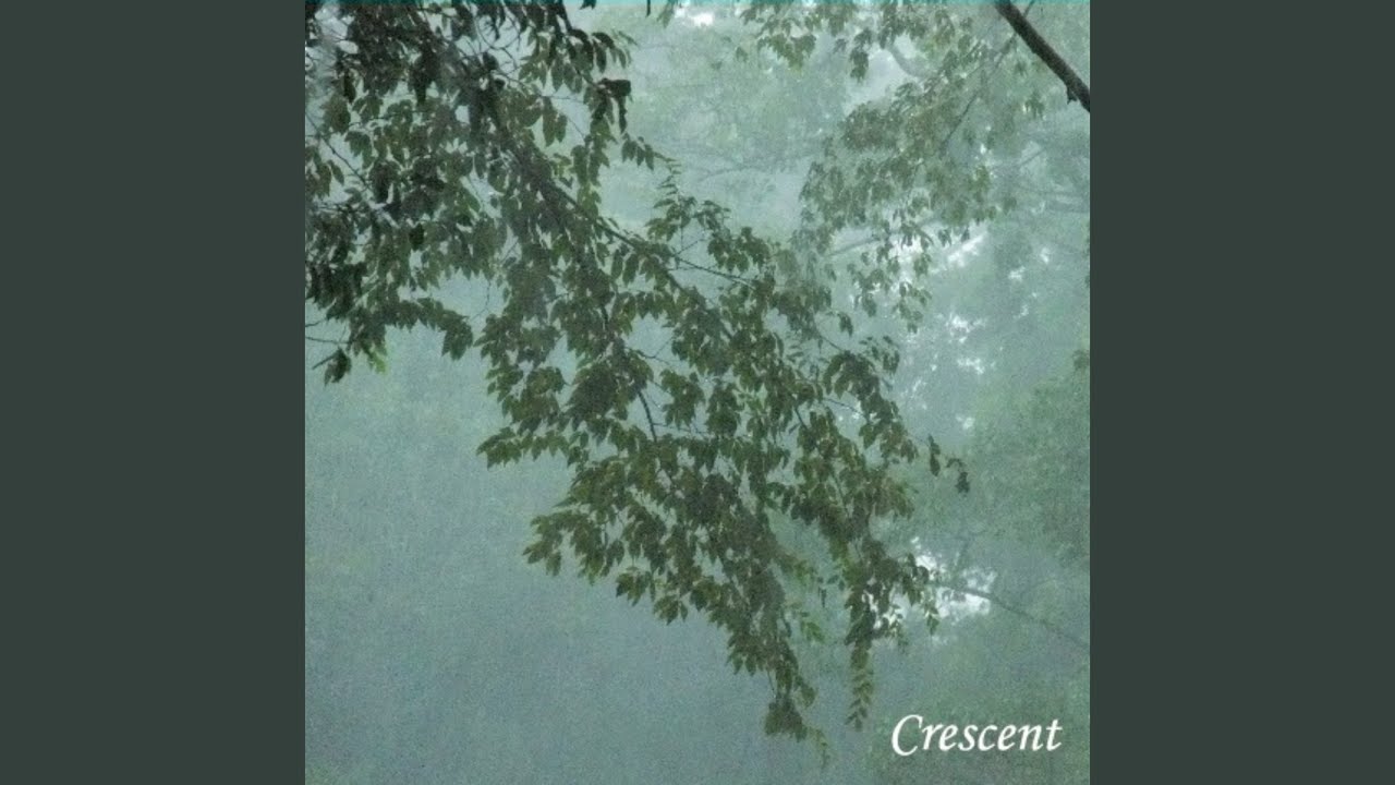 雨音 - YouTube