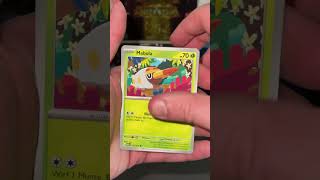 Pain or Gain E74 Pokemon Ascended Heroes #pokemon #pokemonpulls #pokemontiktok #pokemoncommunity