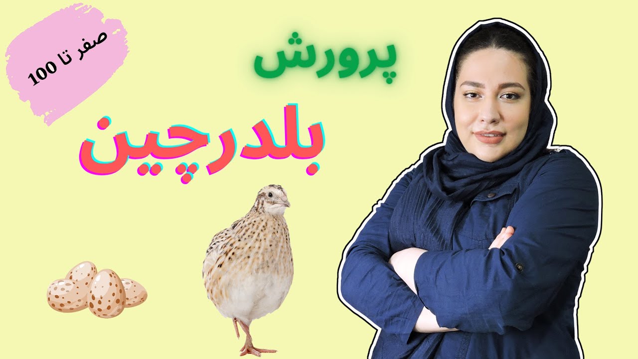 پرورش بلدرچین (صفر تا صد) | اهمیت بازار فروش بلدرچین و درمان کانی بالیسم و جیره بلدرچین