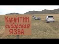 Из-за сибирской язвы запрещена перевозка скота из Тувы в Хакасию