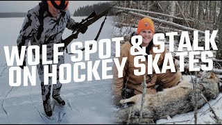 WOLF SPOT & STALK ON HOCKEY SKATES | RED LAKE, ONTARIO