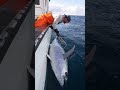 THEY COULDN’T BELIEVE WHAT WAS UNDER THEM! #fishing #deepsea #giantfish