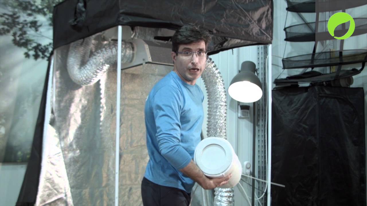 הידרושופ- איך להתחיל לגדל,  להרכיב מערכת גידול שלמה מאפס.