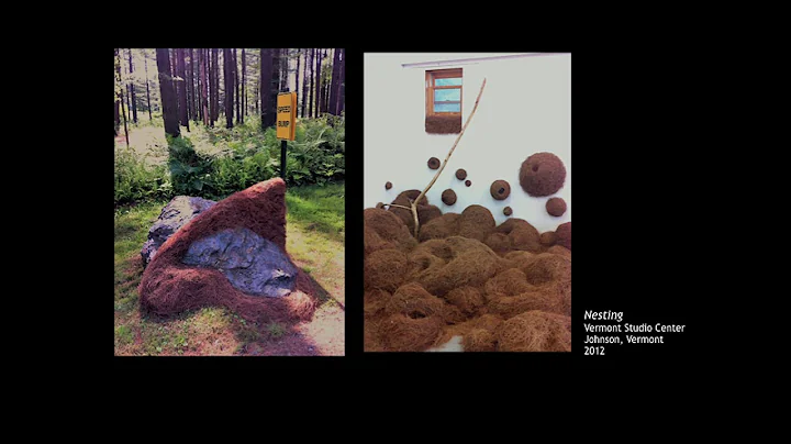 Iowa Artist Fellow: Julia Franklin