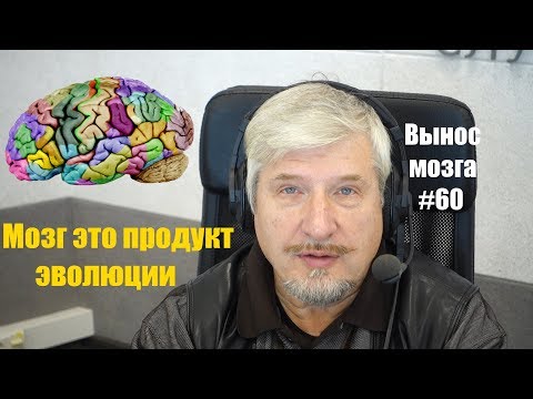 С.В. Савельев«Мозг-продукт эволюции» Сергей Савельев (Вынос мозга #60)