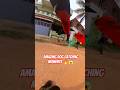 Mahboob Nagar Dog Catch Up #dog #catch #streetdogrevival #rescue #pets #amazing