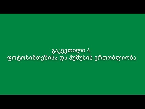 გაკვეთილი 4. ფოტოსინთეზისა და ჰუმუსის ერთობლიობა