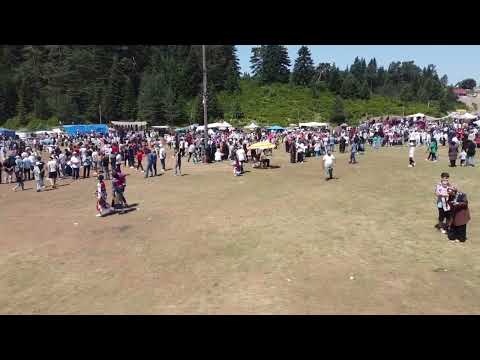 Sakarya Hendek çiğdem