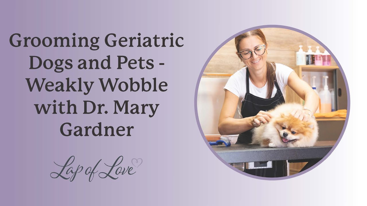 Grooming Geriatric Dogs and Pets - Weakly Wobble with Dr. Mary Gardner