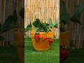 200 Year Old Gardening Secret That Will Transform Your Garden! #gardeningtips #planthack #shorts