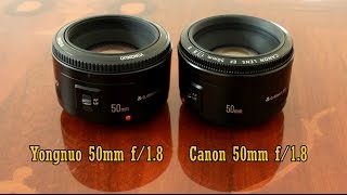 Yongnuo 50mm f/1.8 VS Canon! Comparison and full review (full-frame and APS-C)