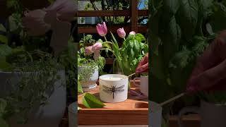 Vela Skeem - Vela Sal Marinho Citronella