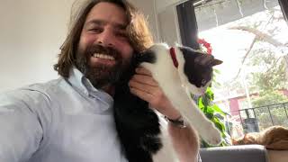 Sevimli Ev Kedisi Coco ✅ Cute House Cat Coco 😻