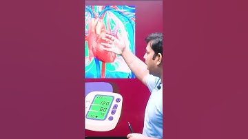 What Are Systolic and Diastolic Pressure? (In Hindi)