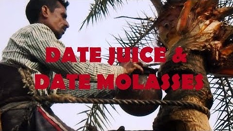 DATE PALM JUICE EXTRACTION(PREPARATION OF DATE MOLASSES)   I  Khejur Gur  I  Date Palm Jaggery