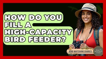 How Do You Fill A High-Capacity Bird Feeder? - Bird Watching Diaries