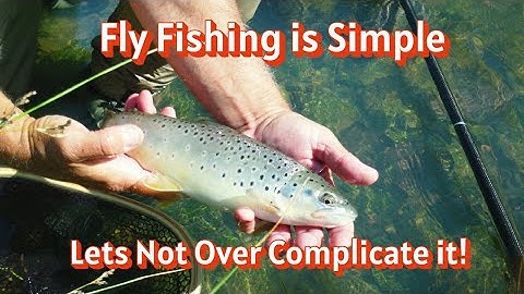 The Simplicity of Fly Fishing: Only Two Things Catch Trout