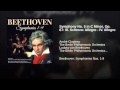 Miniature de la vidéo de la chanson Symphony No. 5 In C Minor, Op. 67: Iii. Allegro