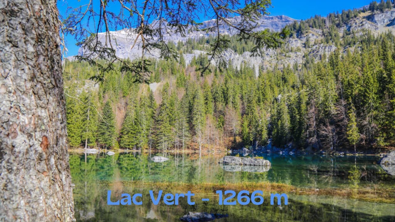 Rando Lac Vert | 04/08/24 | Passy