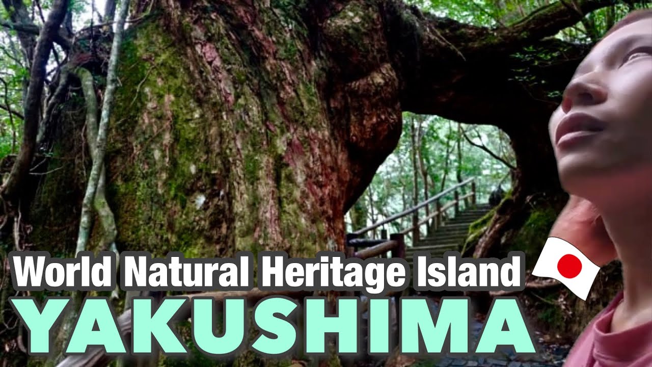 Yakushima - The Mystical Island