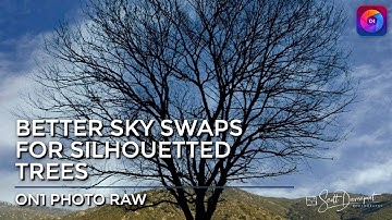 Better Sky Replacement For Silhouetted Trees In ON1 Photo RAW