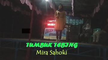 Astrada music - lagu jambi - tumbuk tebing mira sahoki - Official video music igun astrada