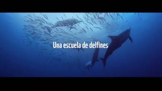 Juntos es Posible, WWF Chile